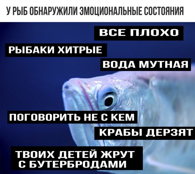 Подсобирал немного картинок .... местами с юмором