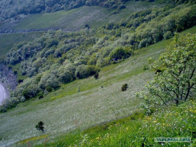 Интересная находка