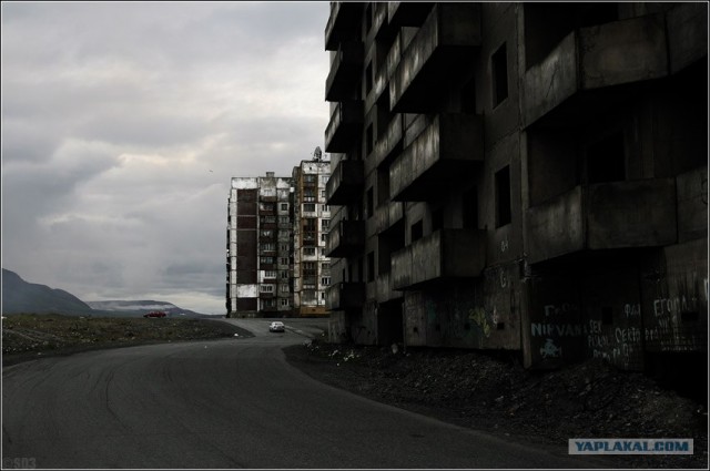 Подснежники гробы. г. Норильск
