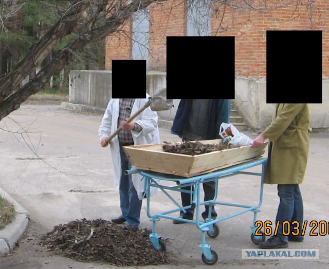 Очаровательная Барышня Прыгает На Крупном Пенисе