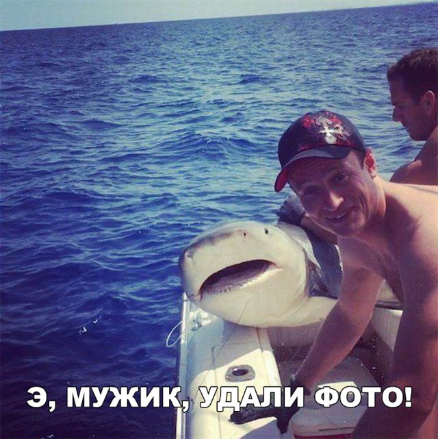 Нестандартный юмор