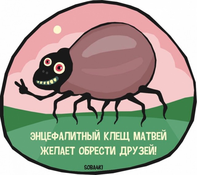 Клещи в октябре