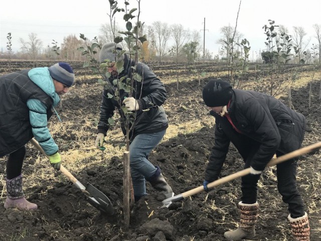 Хорошие новости России за неделю