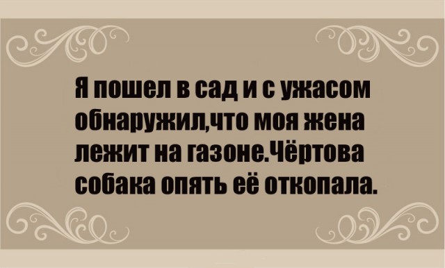 Анекдоты, истории и картинки с надписями