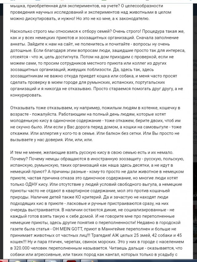 Помогите вернуть кота! Приют "Преданное сердце" украл кота и не отдает!-2