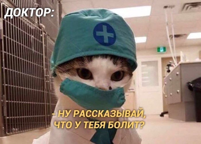 Мидии в ракушках - как их жрать?