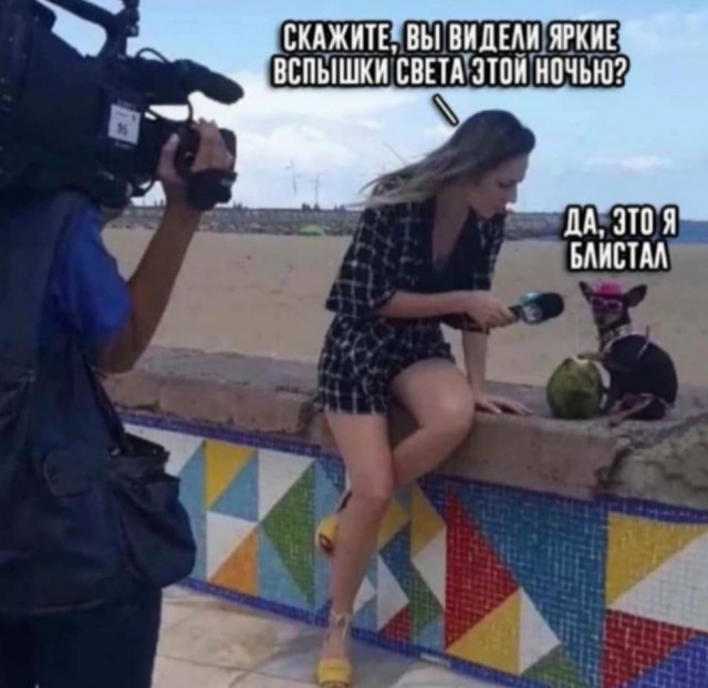 Фотки и картинки: юморные и красивые, забавные и милые 21.09.20