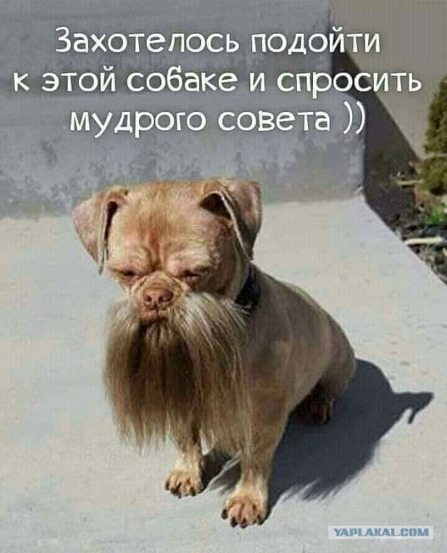 Бредзона 23.02.21