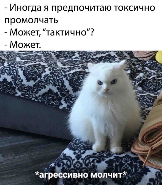 Баянисто-небаянистый юмор 29.03.21