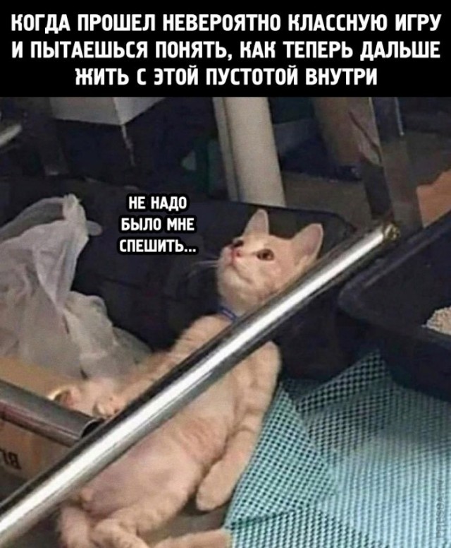 Картинки и мемы для настроения 020