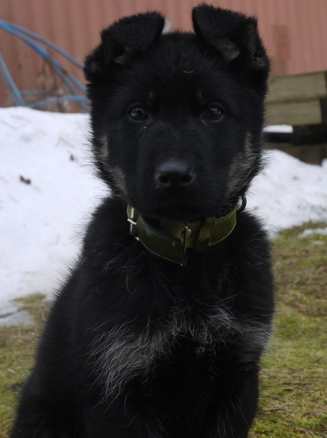 Когда то я была меньше кота, а теперь мы друзья