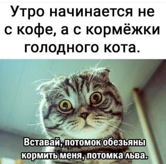 Немного картинок разной степени новизны и адекватности - 10