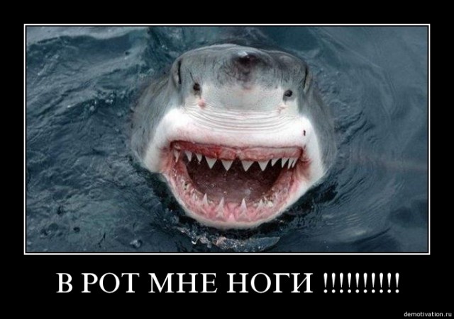 Джессика явный псих))