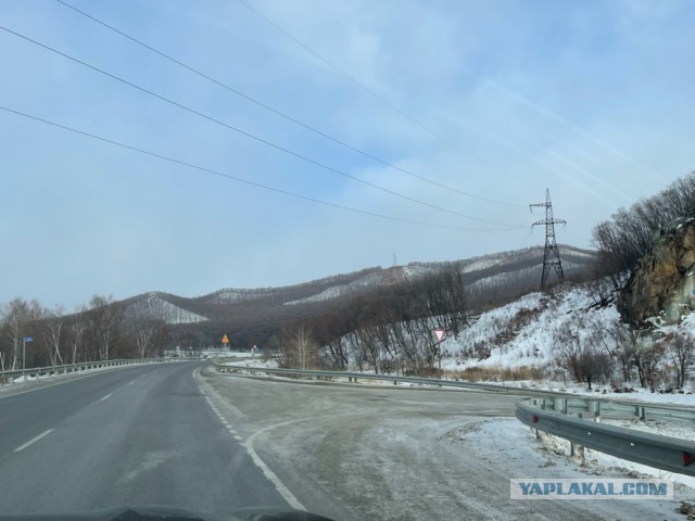 Пицце-твисты:)