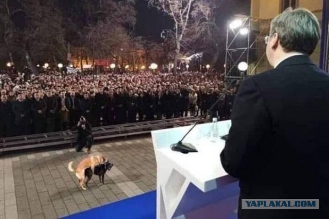 Разные картинки для настроения на любой вкус - 8