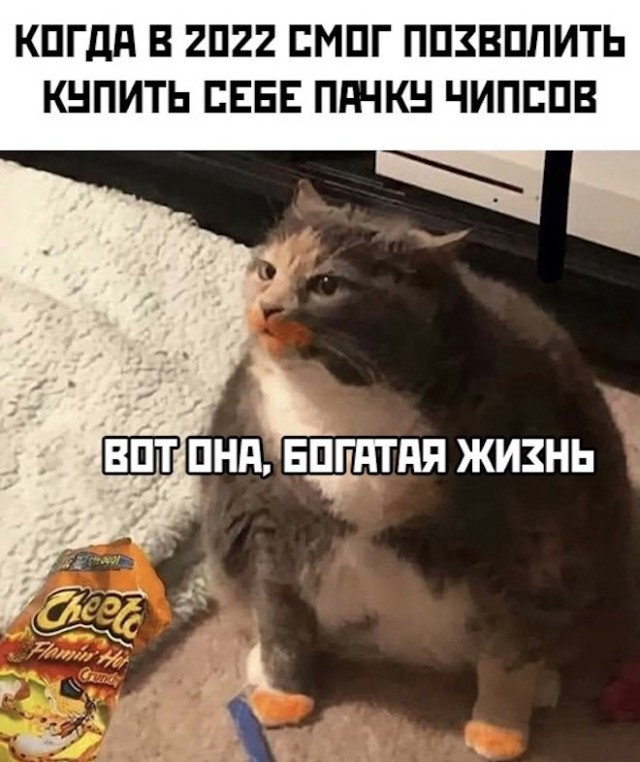 Чуток картинок 31.01.22