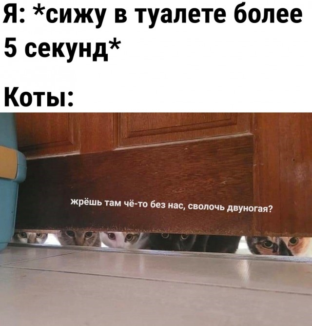 Так себе картинки 12.02.22