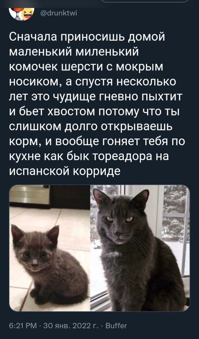 Баянисто-небаянистый юмор 21.02.22