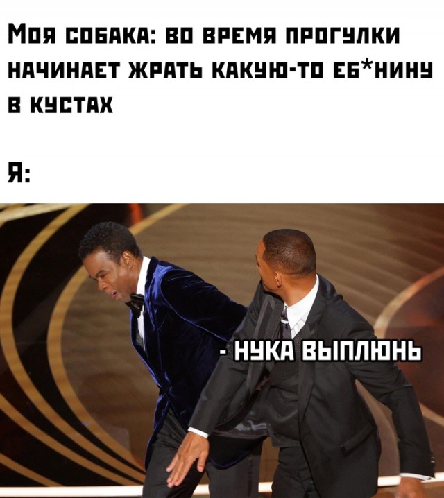 Весёлый полтишок 30.03.22