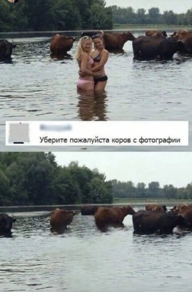 Картинки с комментариями 12.05.2022