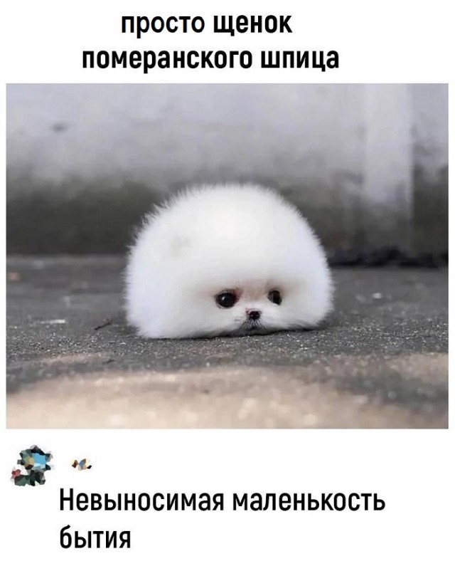 Картинки с надписями и всякие жизненные фразы 26.05.2022