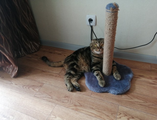 Кот д’Ивуар