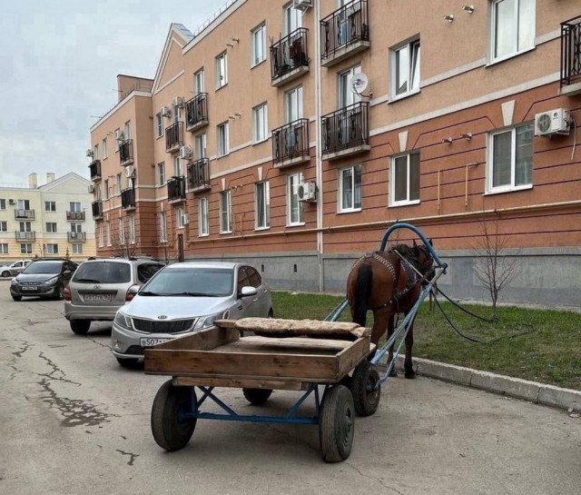 Картинки и мемы, всем хороших выходных
