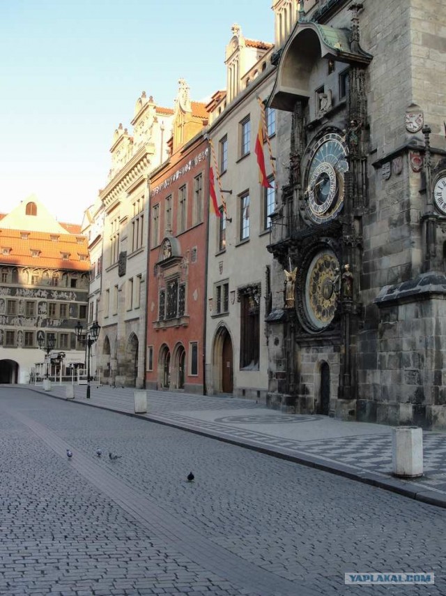 Пивная Прага