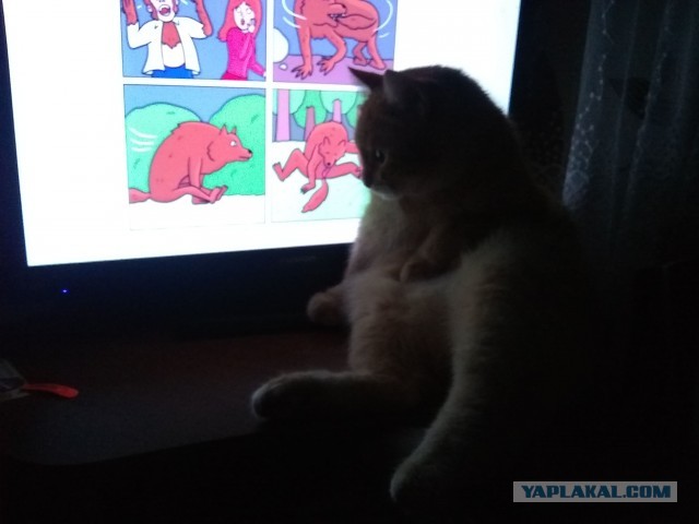 Картинки всякие, развесёлые и не очень.