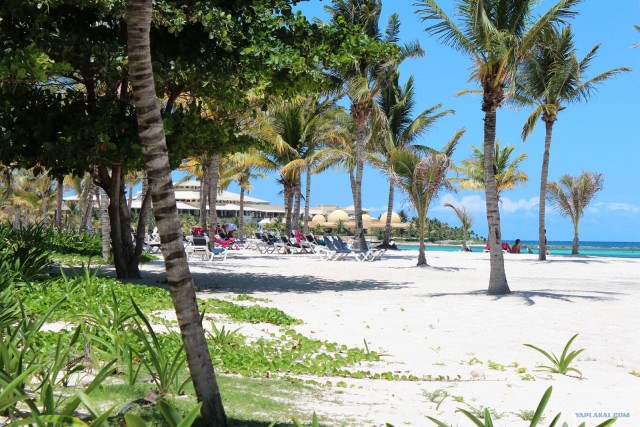 Поездка в Мексику (за деньги)