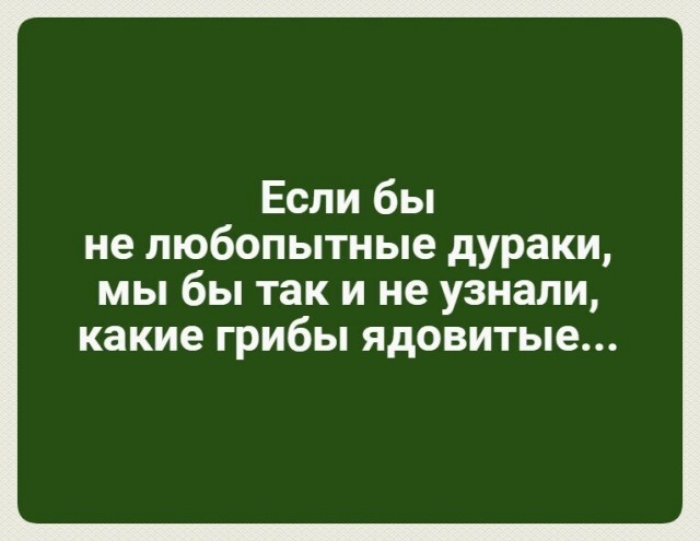 Алкопост 8.10.22