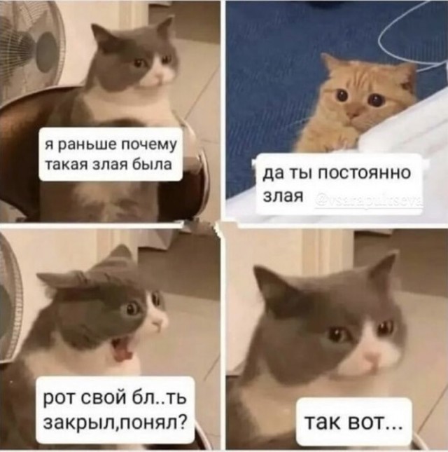 Скриншоты и комментарии из социальных сетей 02.12.22