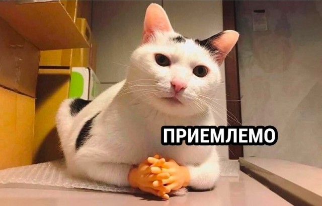 Подколол