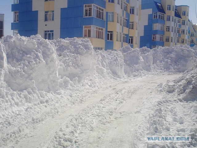 Весна на Камчатке