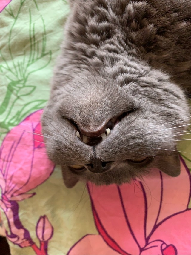 Совпало же? В котовторник