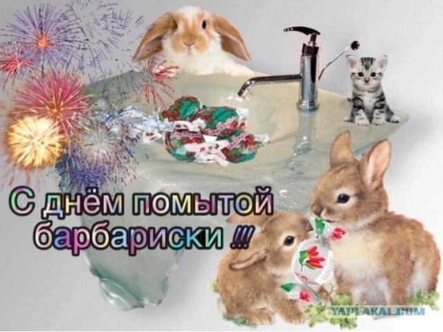Юмор в картинках и без 16.02.2023