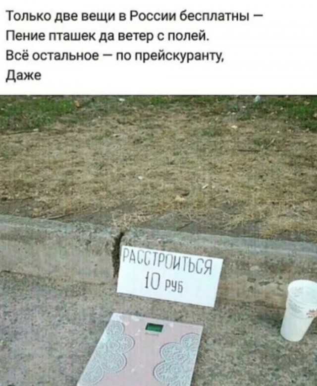 Юмор в картинках и без 21.02.2023