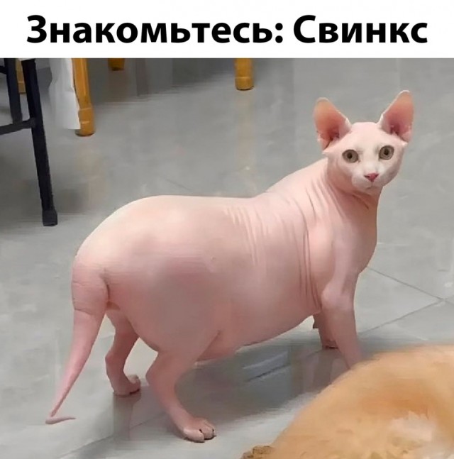 Немного картинок для настроения - 165