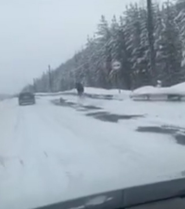 Казалось бы, что могло пойти не так?