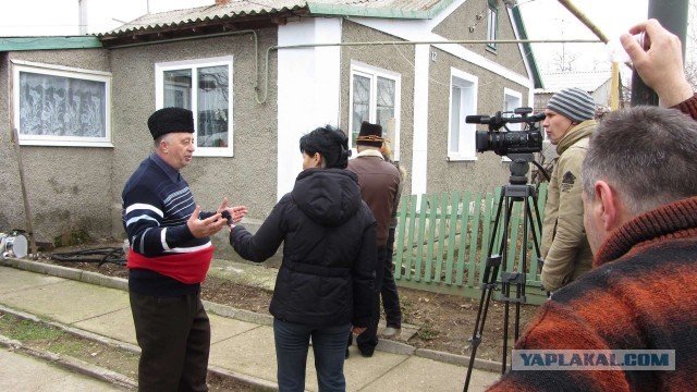 Крым в феврале или "Не стреляйте в белых лебедей!"