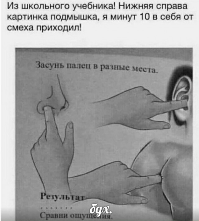 Почему в США температуру меряют во рту, а в России подмышкой?