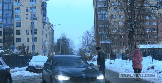 Уступи дорогу автоляди