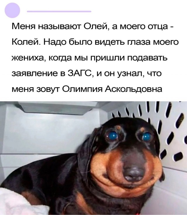 Отряд быстрого деградирования