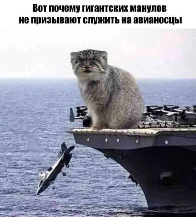 Никакие картинки
