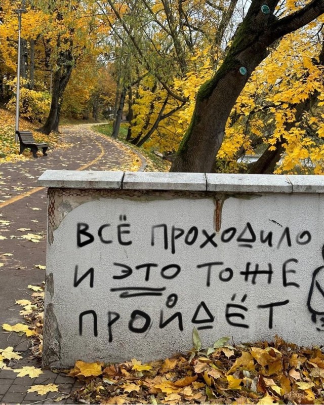 Мысли на стене