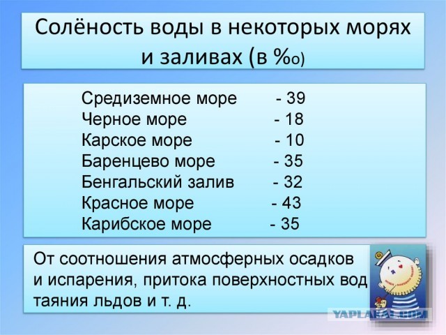 Вода теплая: стала жижей из водорослей, медуз, тел и ротавируса — народ делится впечатлениями о Черном море