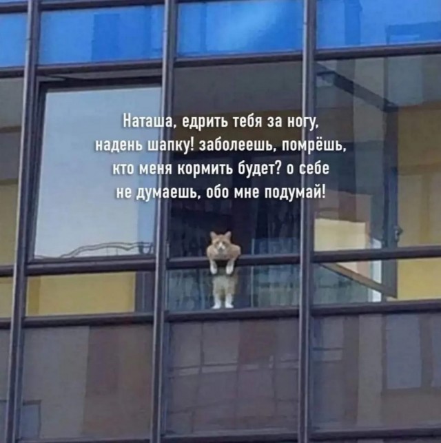 Завалялось тут случайно немного забавных картинок