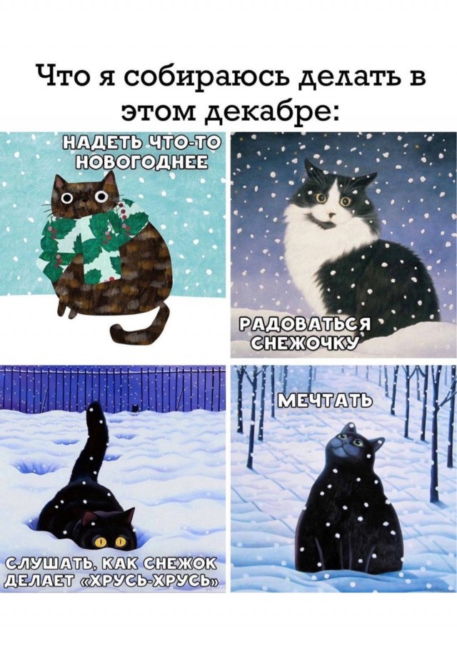 Весёлый полтишок 10.12.24