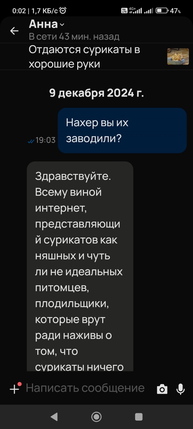 Что я узнал, пожив с хорьком