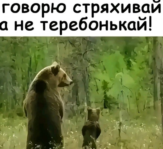 Завалялось тут случайно немного забавных картинок